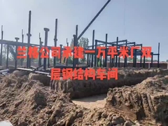 전조식 강철 프레임 건물 - 랜지 건설